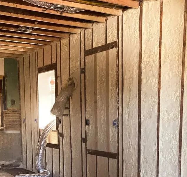 Exterior walls sealed with spray foam during a gut remodel