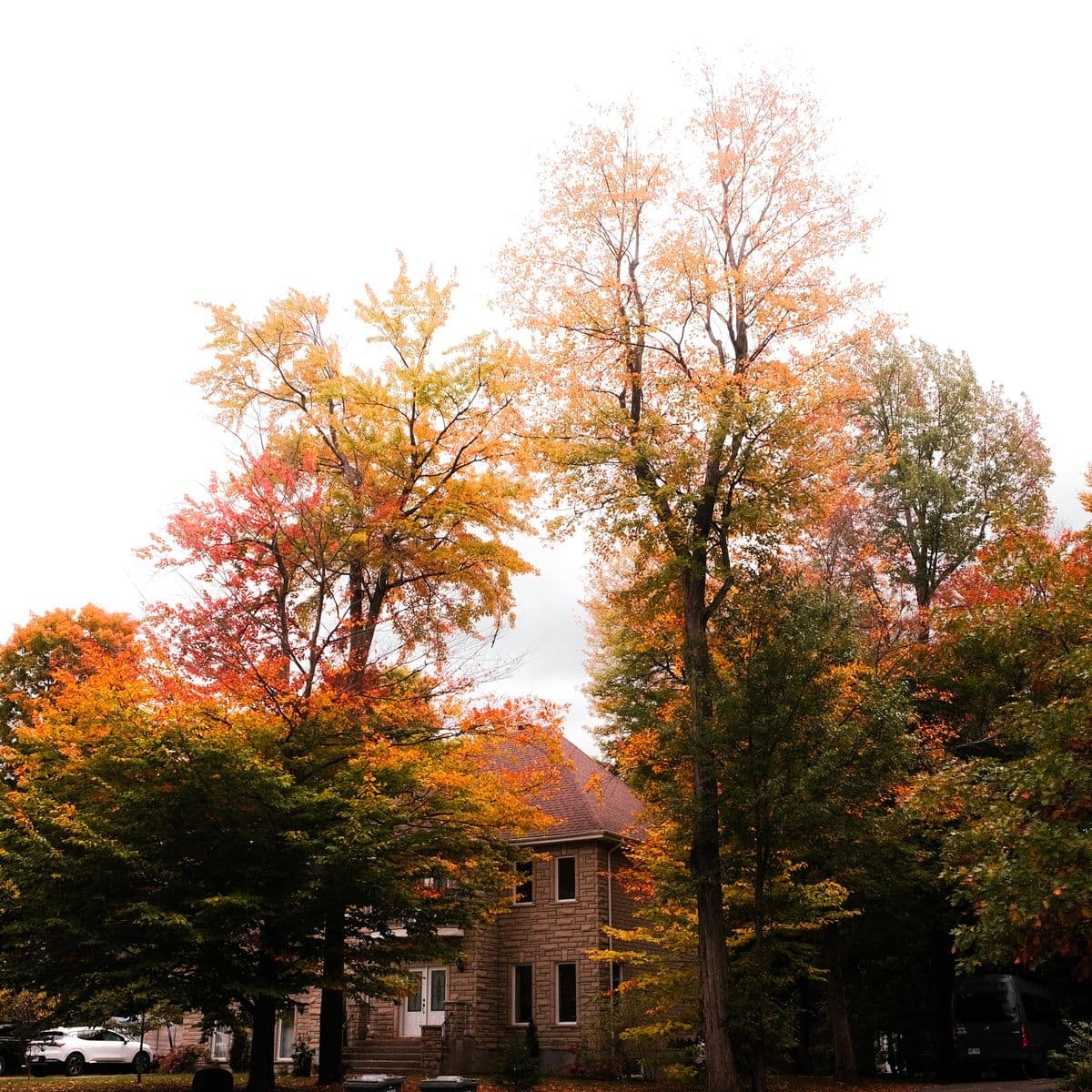 A New England home surrounded by autumn foliage, comfortable through the cold season