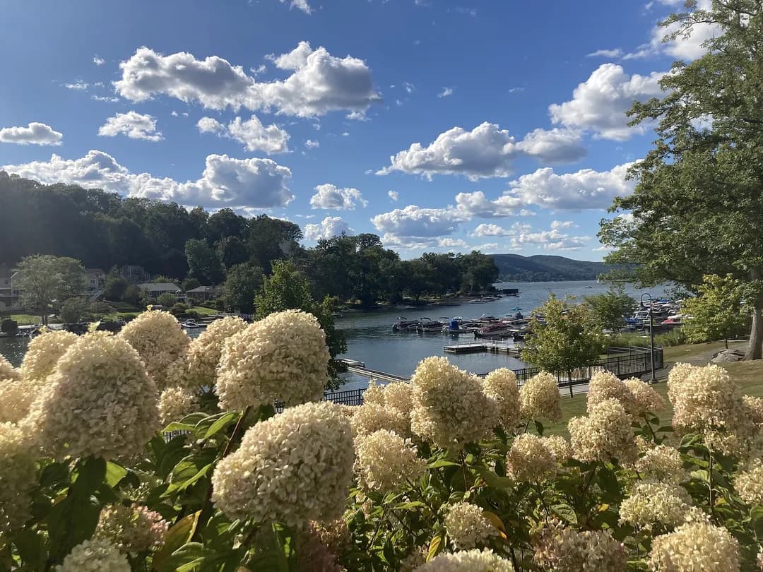Candlewood Lake marina at Brookfield Town Beach on a summer day