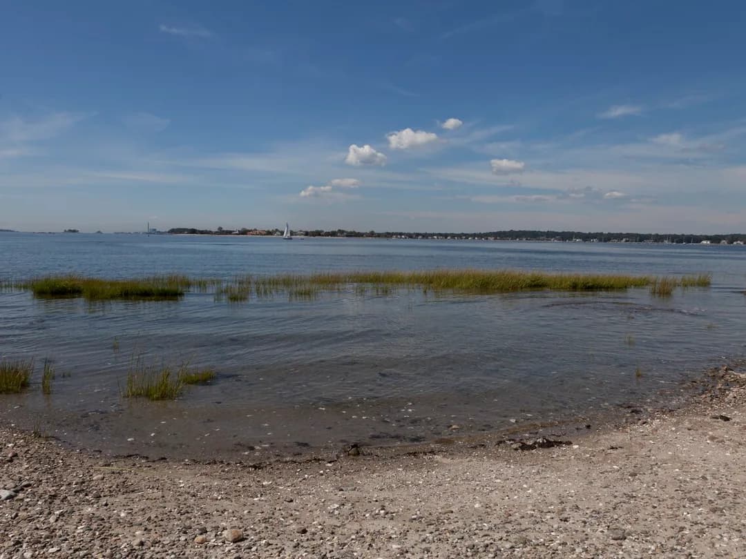The pebble shoreline and salt marsh at Compo Beach in Westport, Connecticut